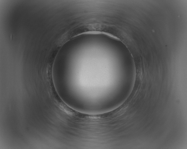 X0000073990233200608211356