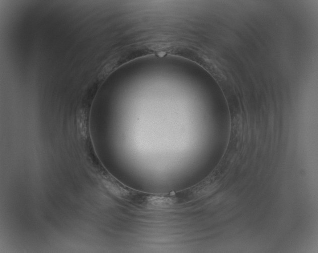 X0000073990234200608211356