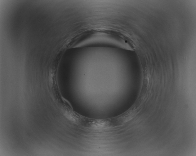 X0000073990235200608211356