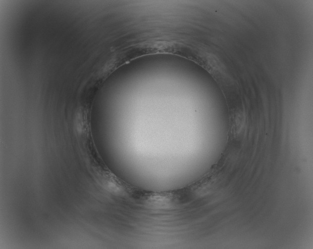 X0000073990236200608211356