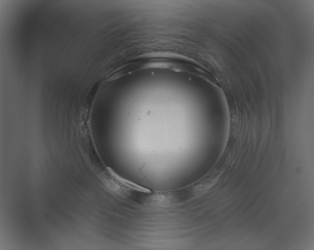 X0000073990237200608211356