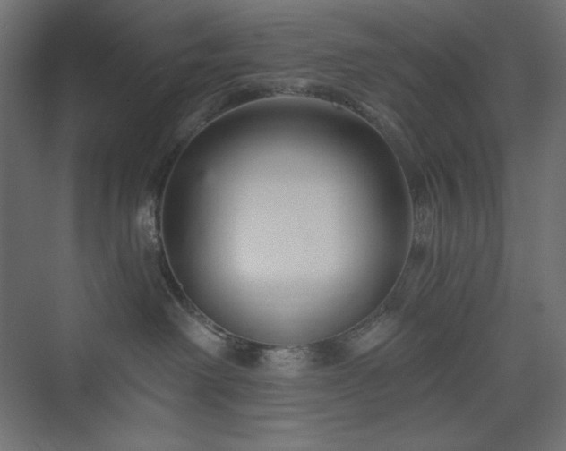 X0000073990238200608211356