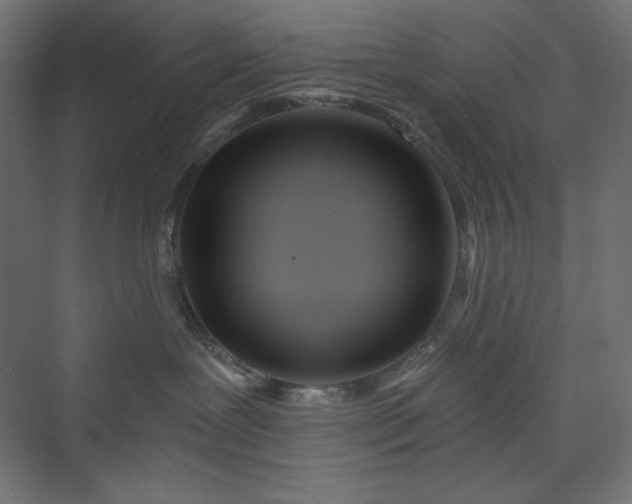 X0000073990239200608211356