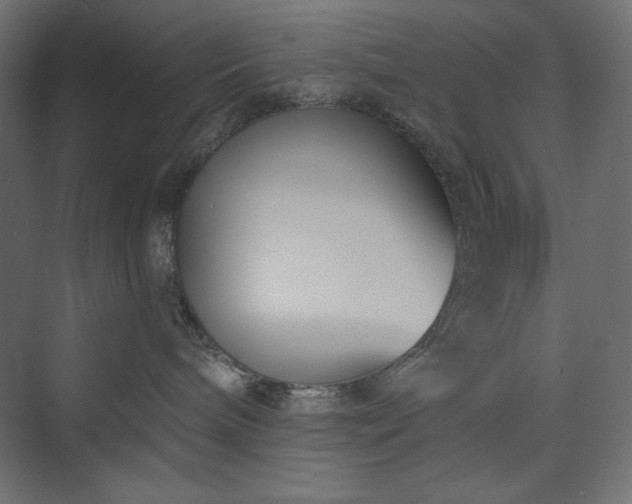 X0000073990240200608211356