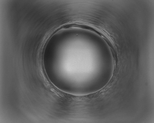 X0000073990241200608211355