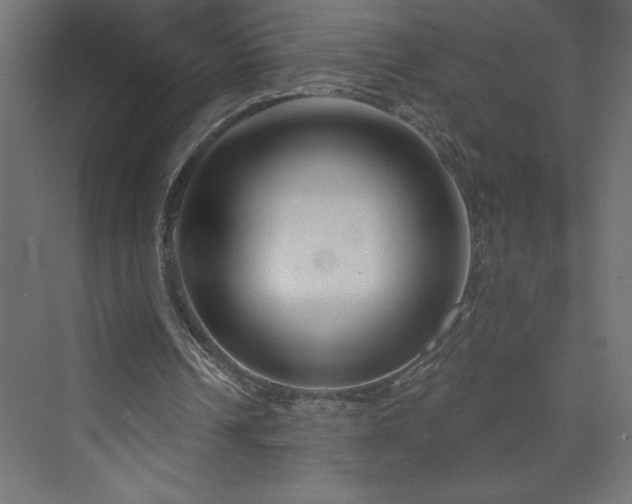 X0000073990242200608211355