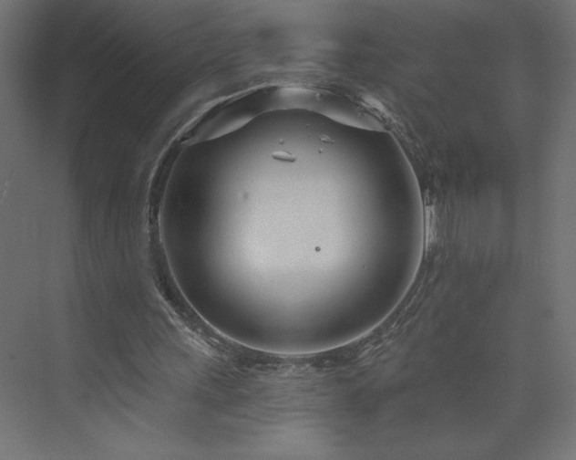 X0000073990243200608211355