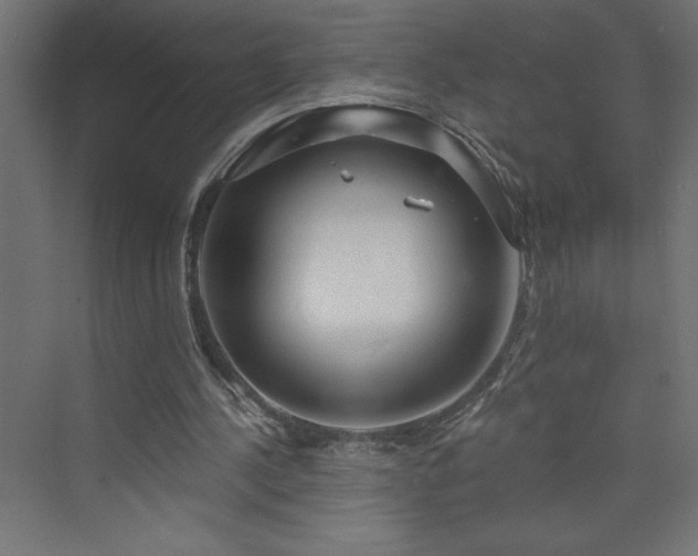 X0000073990244200608211355