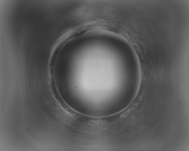 X0000073990245200608211355