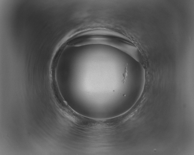 X0000073990246200608211355