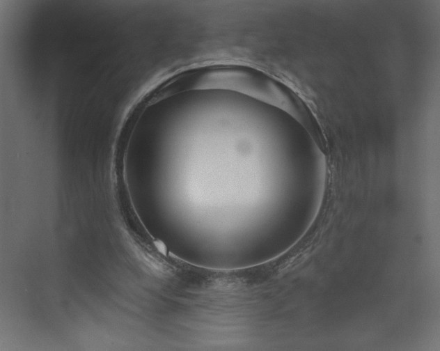 X0000073990248200608211355