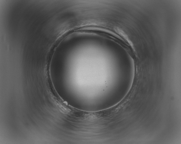 X0000073990249200608211355