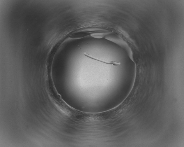 X0000073990250200608211355