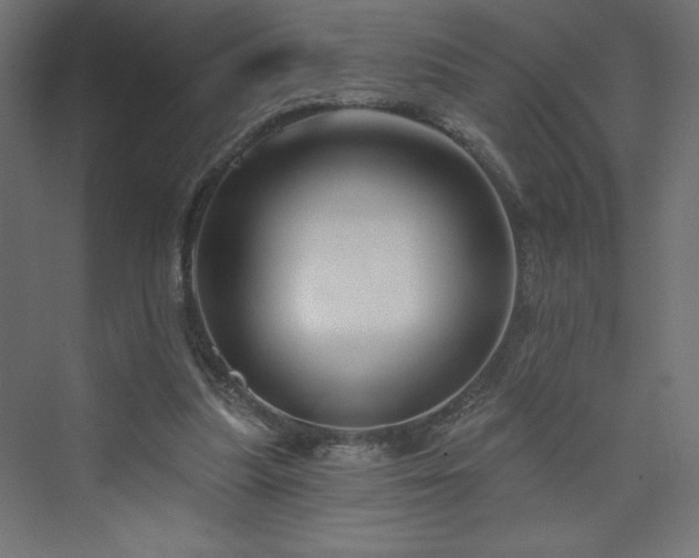 X0000073990251200608211355