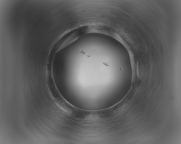 X0000073990252200608211355