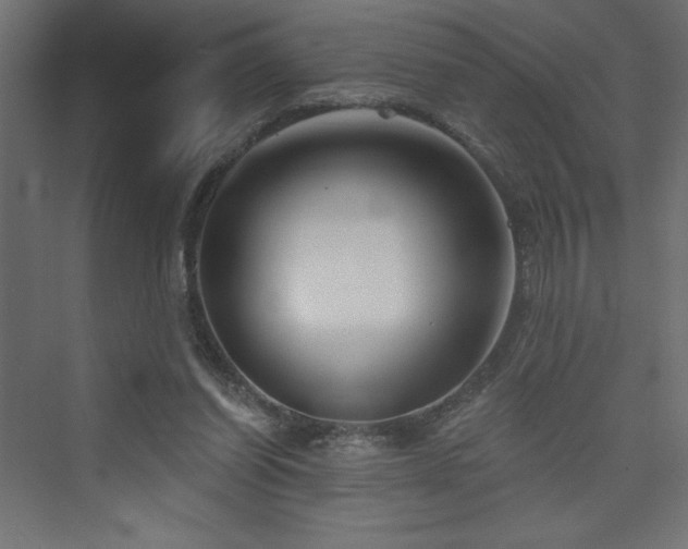 X0000073990254200608211355