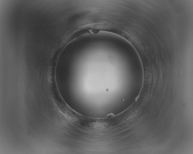 X0000073990255200608211355