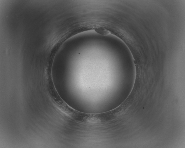 X0000073990258200608211355