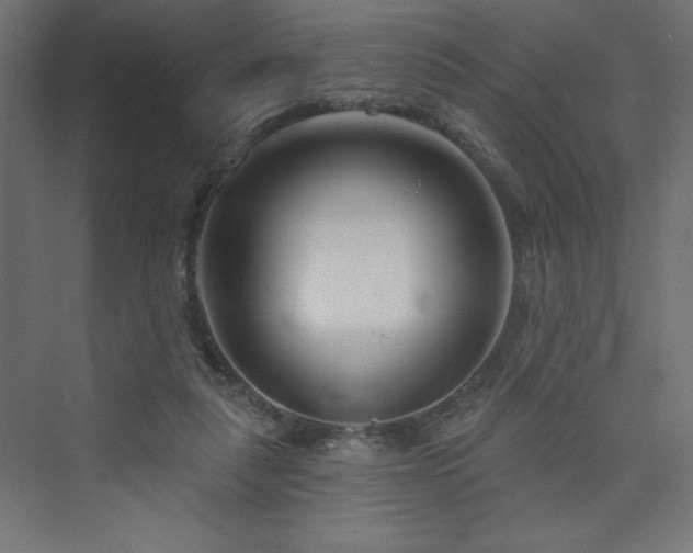 X0000073990259200608211355