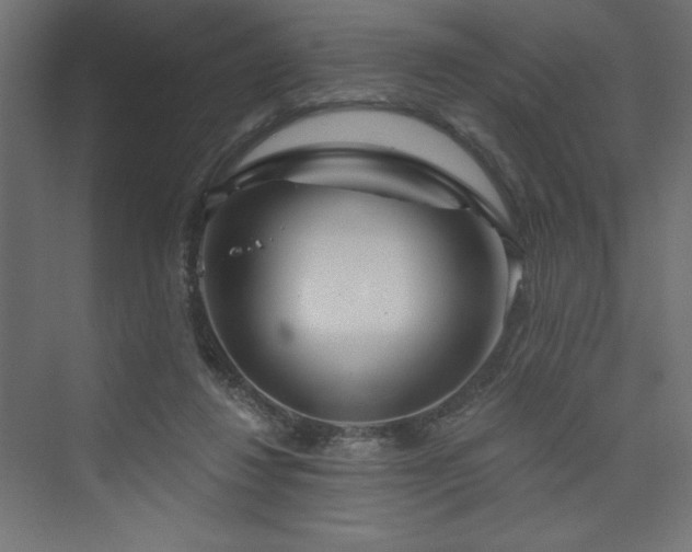 X0000073990260200608211355