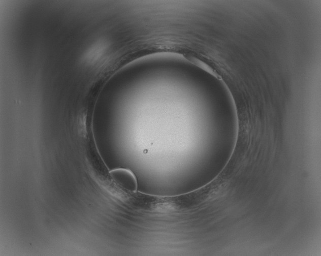 X0000073990262200608211355