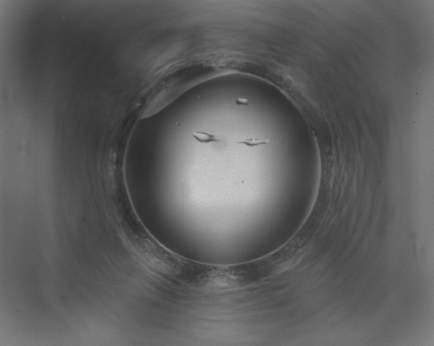 X0000073990263200608211355