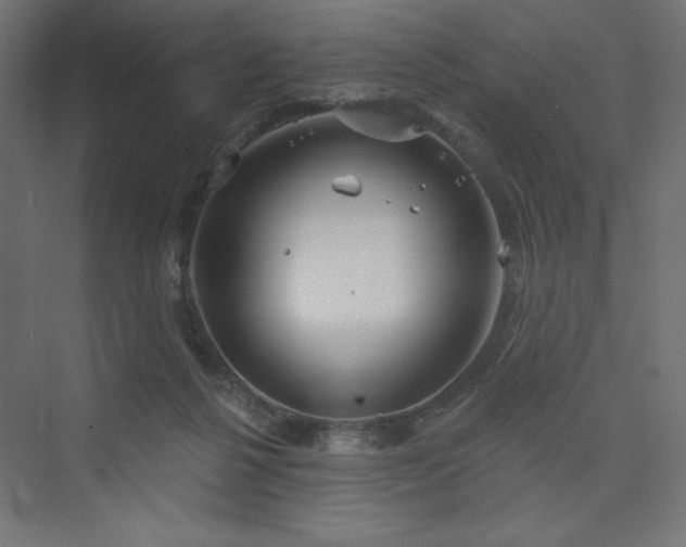 X0000073990264200608211355