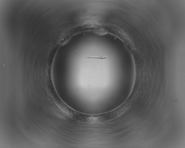 X0000073990265200608211355