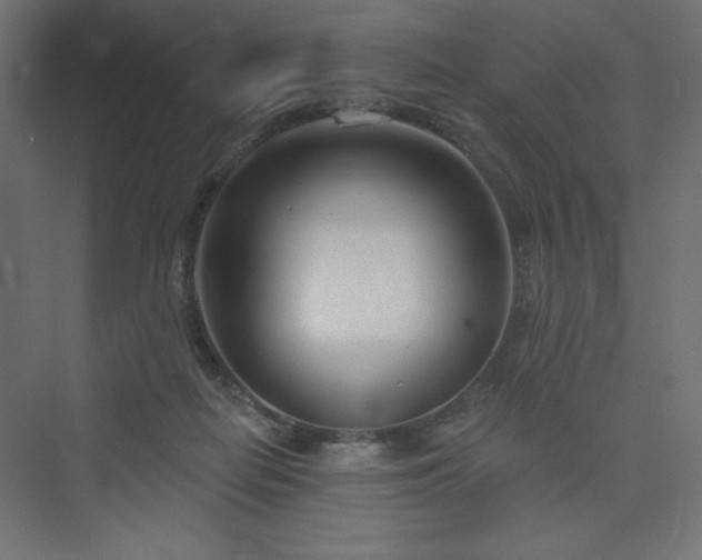 X0000073990266200608211355