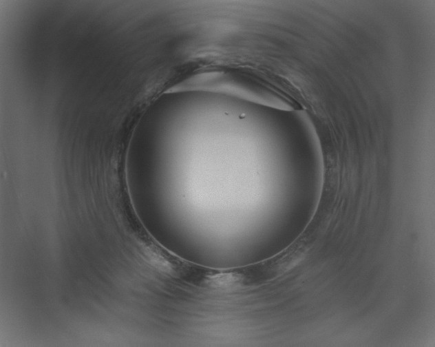 X0000073990269200608211355