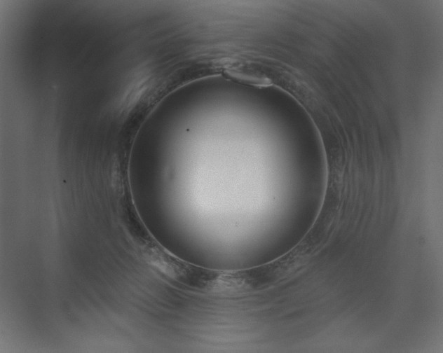 X0000073990270200608211356