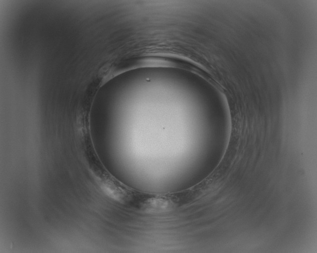 X0000073990272200608211356