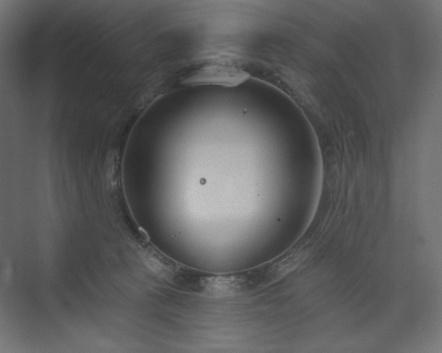 X0000073990273200608211356