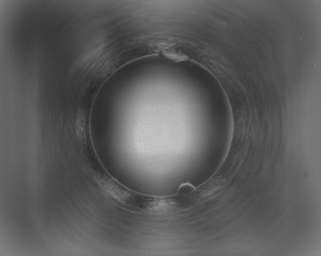 X0000073990274200608211356