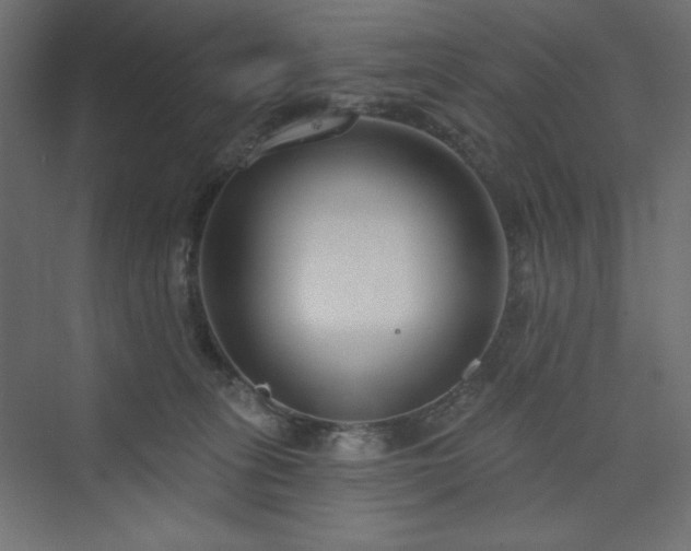 X0000073990275200608211356