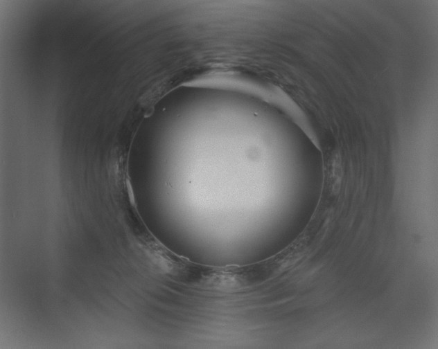 X0000073990276200608211356