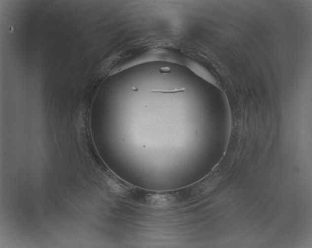 X0000073990277200608211356