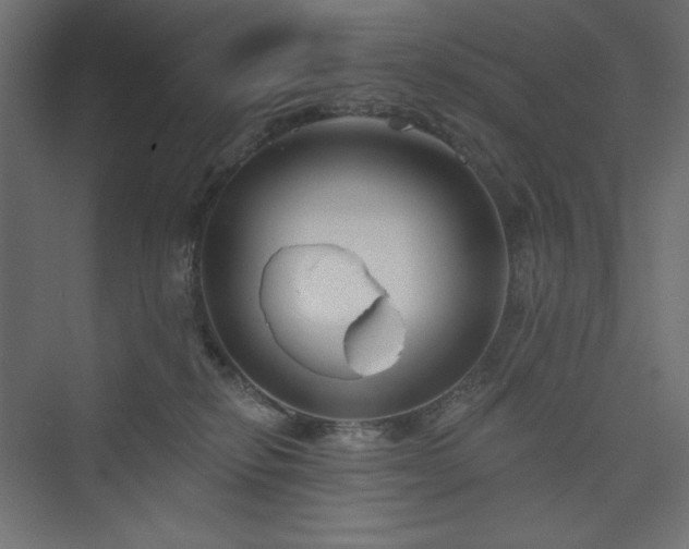 X0000073990278200608211356