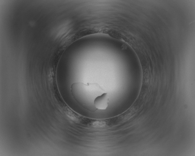 X0000073990279200608211356