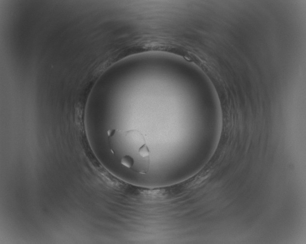 X0000073990281200608211356