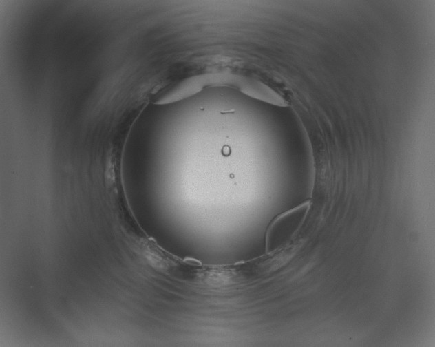 X0000073990282200608211356