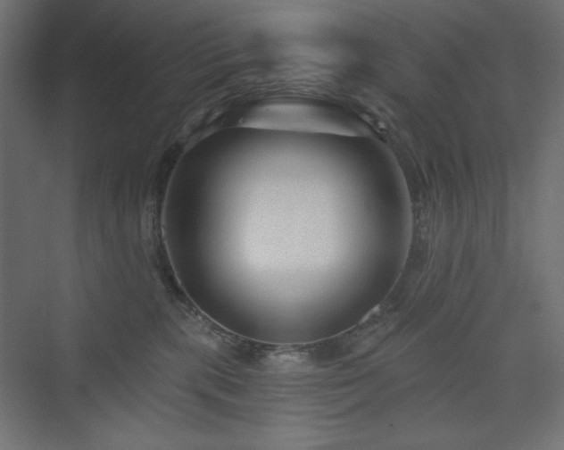 X0000073990283200608211356