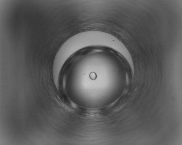 X0000073990284200608211356