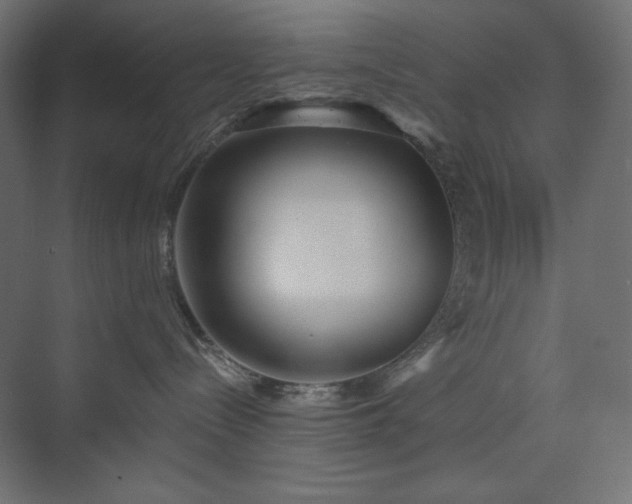 X0000073990288200608211356