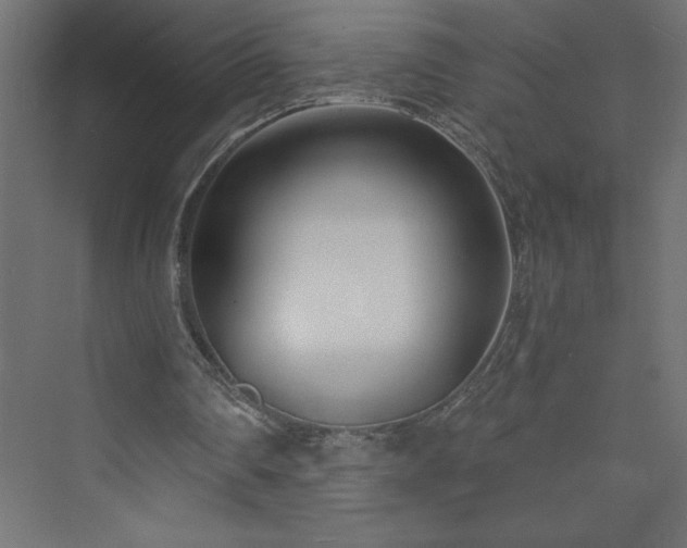 X0000073990290200608211355