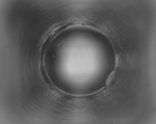 X0000073990291200608211355