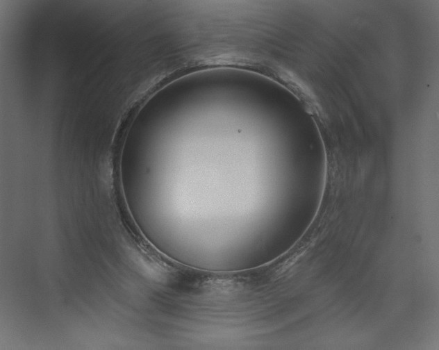 X0000073990298200608211355