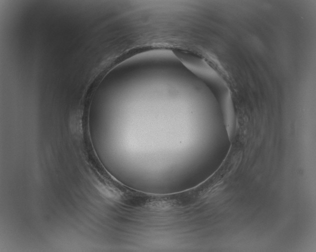 X0000073990299200608211355