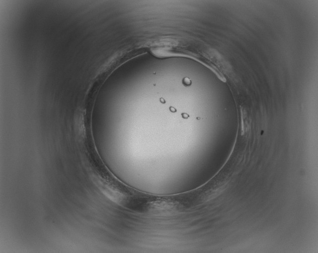 X0000073990300200608211355