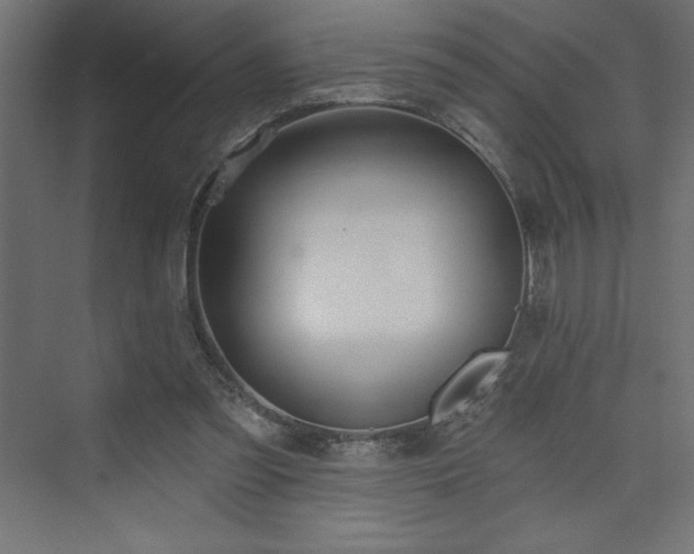 X0000073990301200608211355